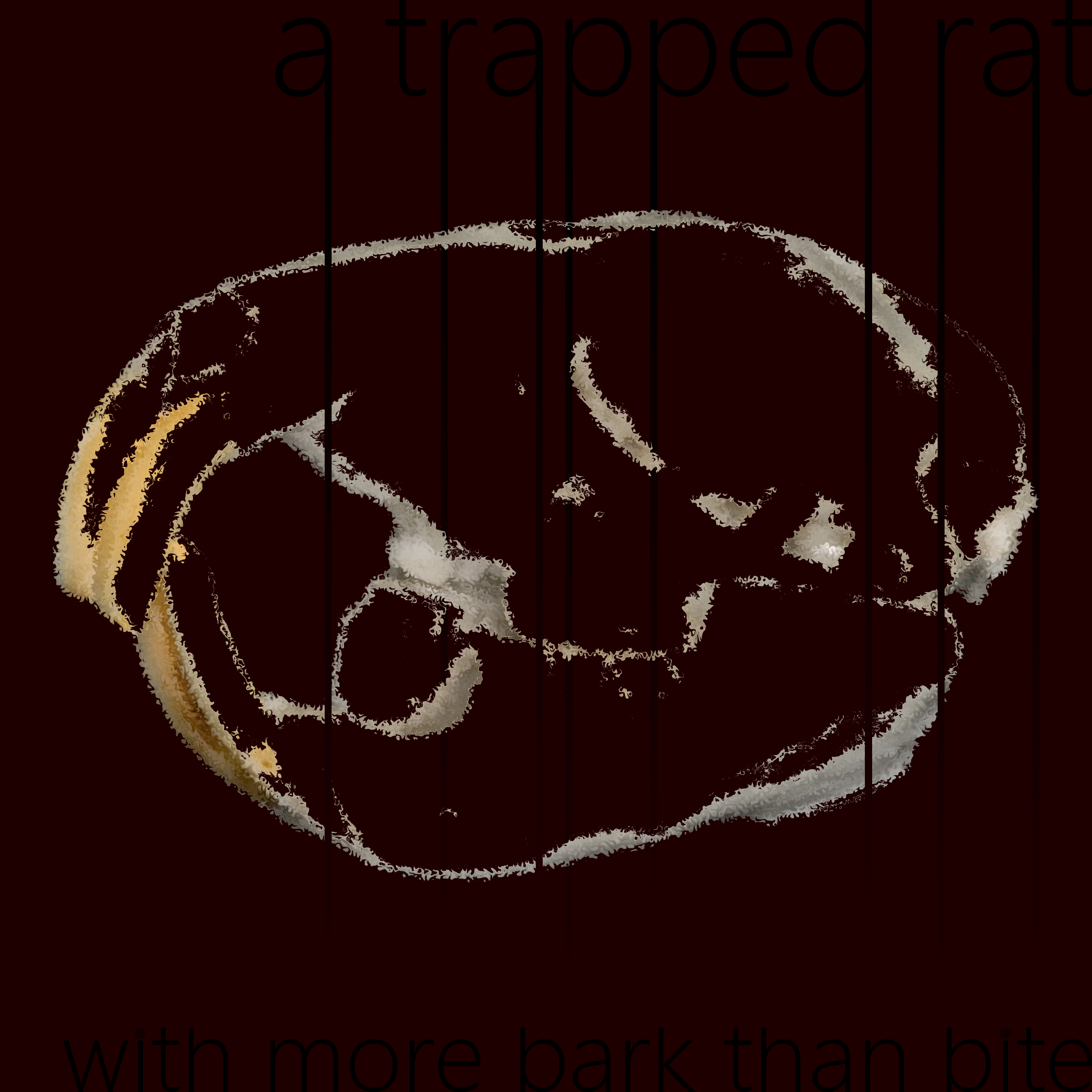 a trapped rat with more bark than bite
